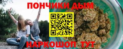 индика Усть-Илимск