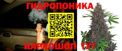 амф Усть-Джегута