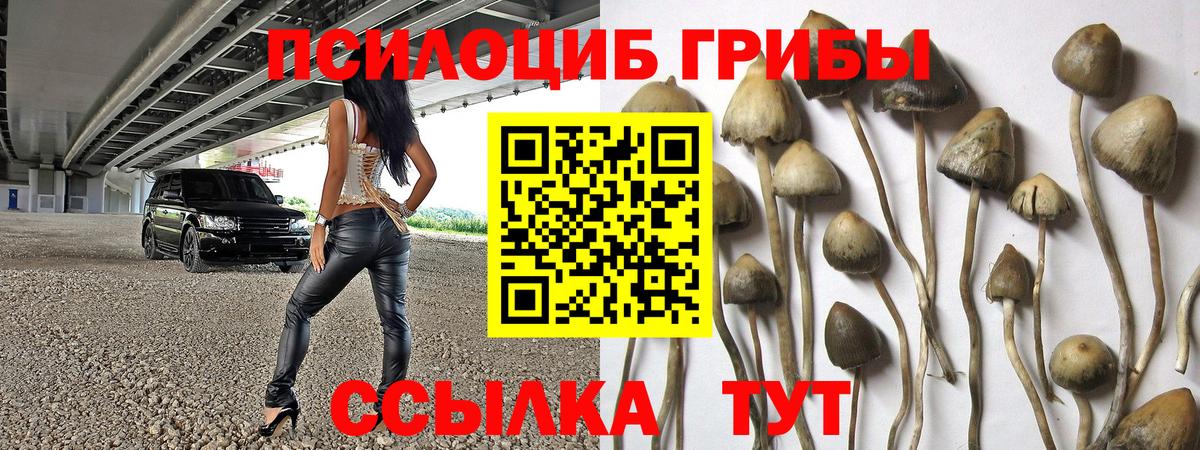 Псилоцибиновые грибы ЛСД Барнаул