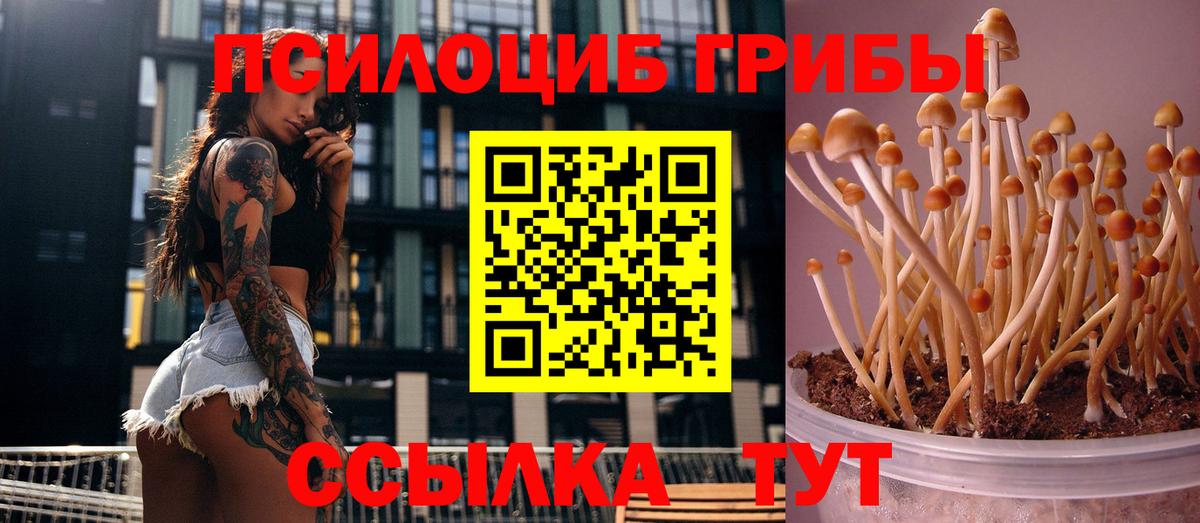Галлюциногенные грибы GOLDEN TEACHER  Псилоцибиновые грибы Psilocybe  Вход с VPN  Барнаул 